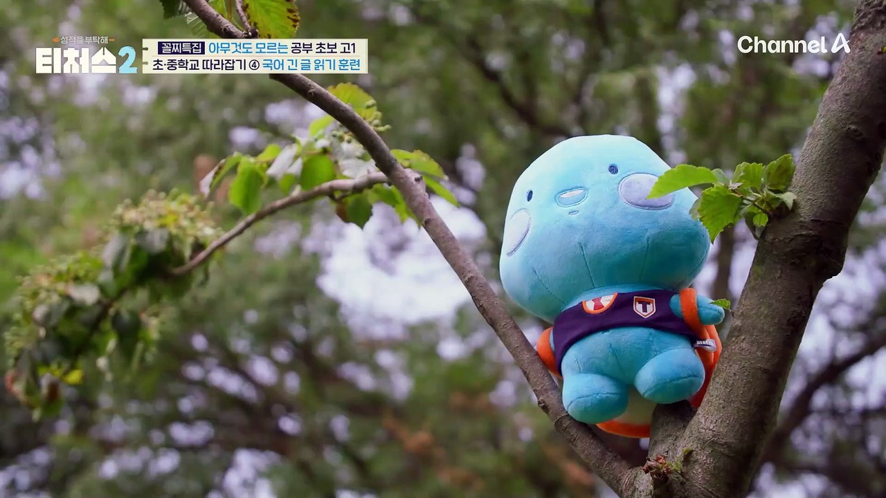 초등학교, 중학교 따라잡는 국어 공부부터, 중학교 3학년 영어 문장 해석까지?!