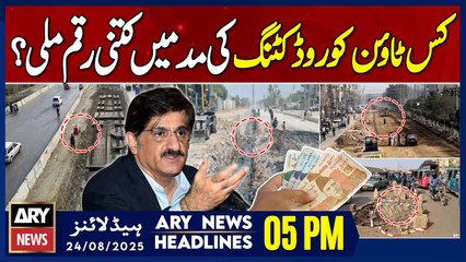Sindh Chief Minister orders investigation || ARY News 5 PM Headlines || 24th Aug 2025
