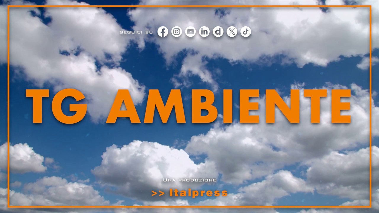 Tg Ambiente - 24/8/2025