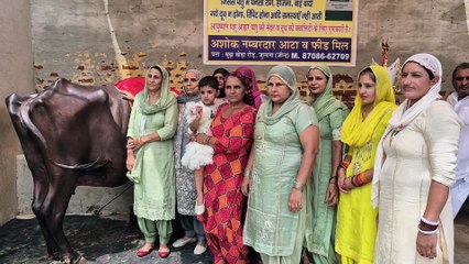 25 की हुई हिसार की धन्नो भैंस, सात बार की रह चुकी राष्ट्रीय चैंपियन, ग्रामीणों ने मनाया "जीवन-जग", दुष्यंत चौटाला भी हुए शरीक