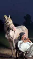 Bilal marth#ytshorts