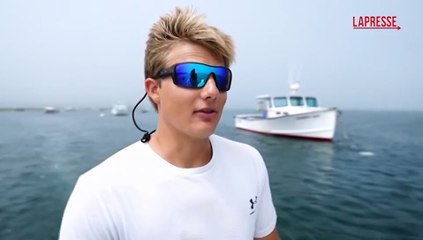 Grande squalo bianco, sempre pi? esemplari nelle fredde acque dell'Atlantico