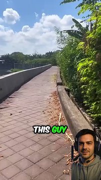 He Just Wanted to Feed Them… Then THIS Happened 😭❤️