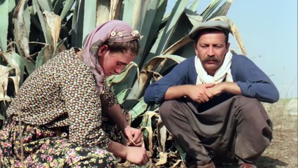 Bereketli Topraklar Üzerinde - HD Film İzle