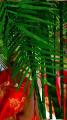 জয় শ্রী কৃষ্ণ