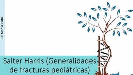 Fractura de Salter Harris #elcuerpoymas #medicina #salud #Salter Harris #Fracturas pediatricas