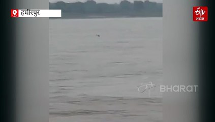 हमीरपुर में पत्नी ने बुलाई पुलिस, पति यमुना नदी में कूदा, गोताखोरों की टीम तलाश में जुटी