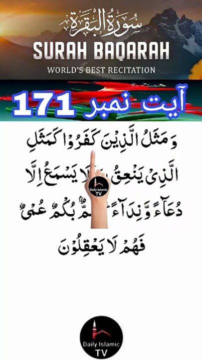 Al-Quran - Surah 2 - Al-Baqara - Ayah 171 | daily islamic tv