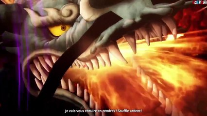 OnePiece Pirate Warrior4(fin)🌍