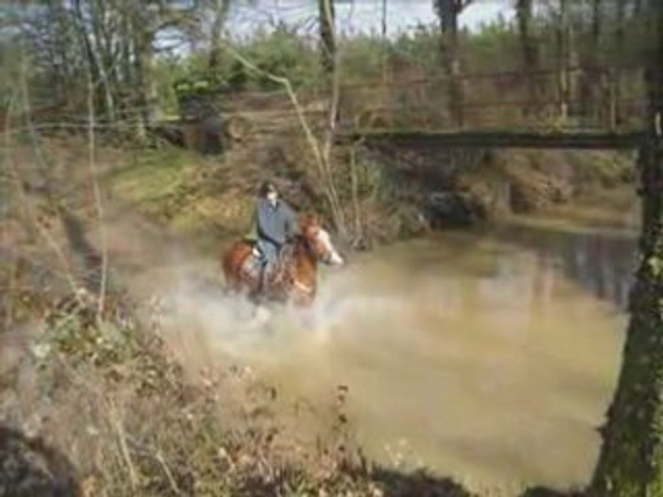 Alex_0002
