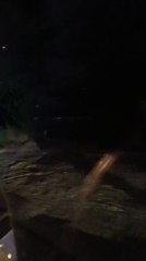 Sinop'ta otomobil şarampole uçtu