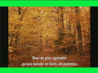 Préservons la nature