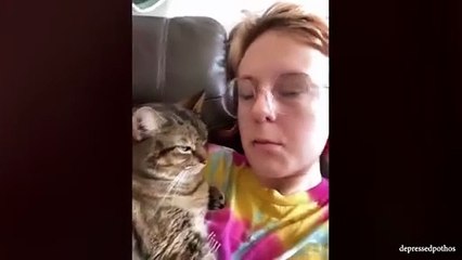 “🤣 Funniest Cat Videos 2025 | Non-Stop Cat Comedy Compilation 🐾😂”
