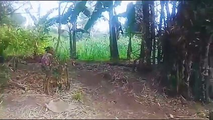 Proses buat bata pakek tenanga manusia
