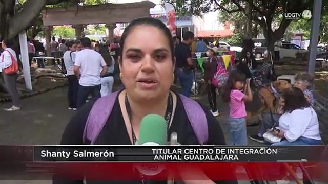 Guadalajara ofrece en adopción a cerca de 20 perros y gatos; garantiza vacunas