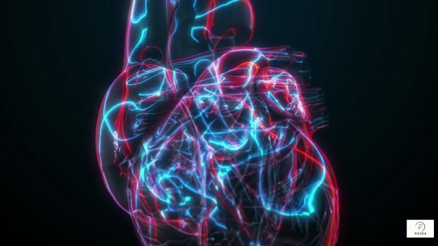 Monitoring Your Health at Home Simple Tips for Tracking Blood Pressure, Sugar & More