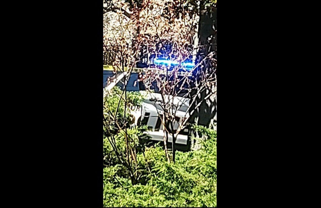 8/24/2025A, (Targeted Individuals & Perp TV) Global Associate's Police Acting Street Theatre Images