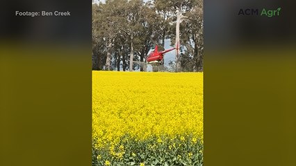 Boyup Brook grower turns to helicopters after repeated bogging