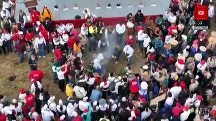 Más de 2 mil árboles son plantados en la sierra de Guadalupe, Coacalco