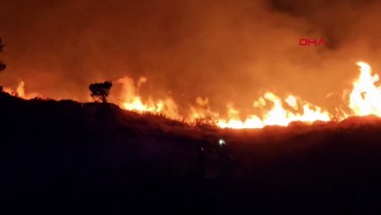 Marmara Adası'nda orman yangını