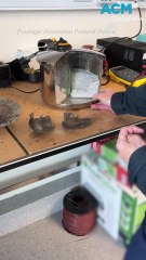 The AFP's bomb-building Weapons Technical Intelligence team