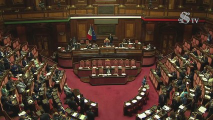 Roma - Senato - 19° Legislatura - 325° seduta (08.07.25)