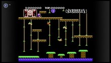 Donkey Kong Jr. NES No Damage Game A+B