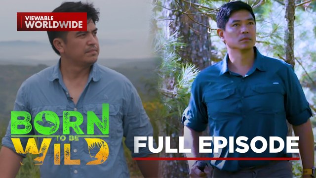 Super-sized insects and 2 cockatoos rescued inside a thermos (Full Episode) | Born to Be Wild