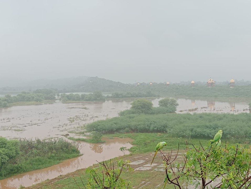सिलीसेढ़ का पानी जयसमंद पहुंचा, रूपारेल नदी में भी आया पानी