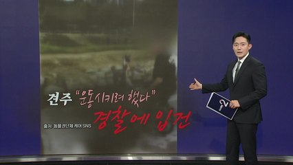 “산책로 덮은 핏자국"...개 숨진 '끔찍한 질주' [앵커리포트] / YTN