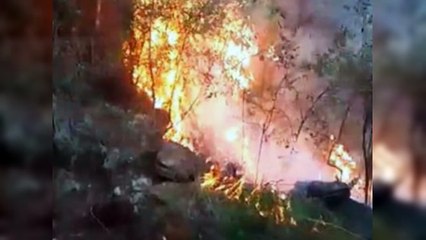 El impacto en la salud de los incendios forestales