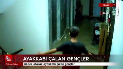 Adana'da göbek atarak ayakkabı çalan gençler