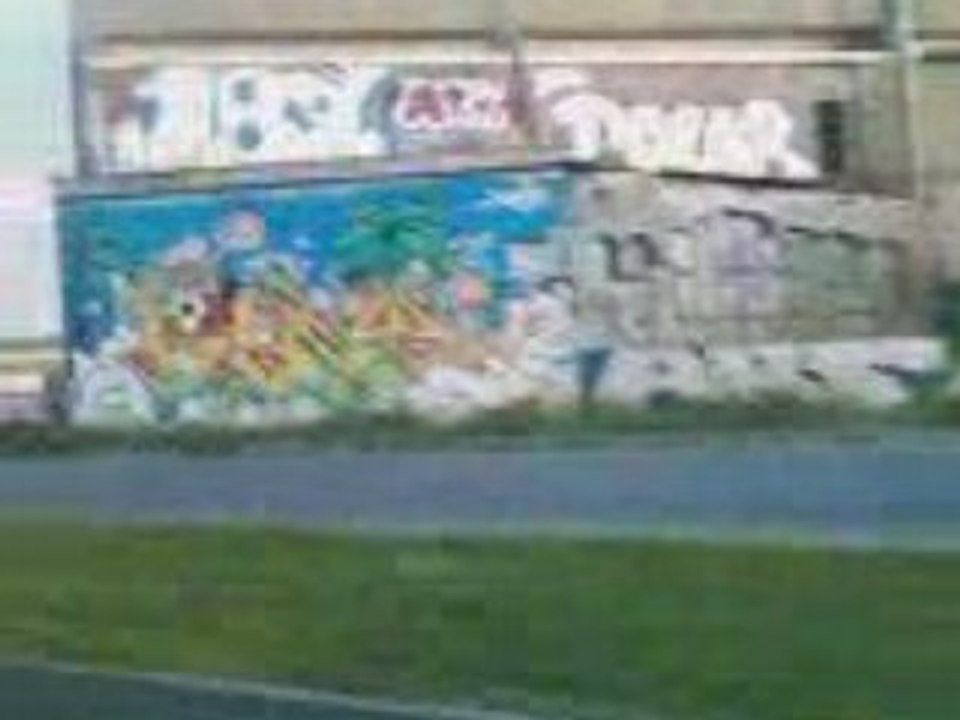 VID011
