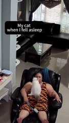 See what the cats do while I sleep