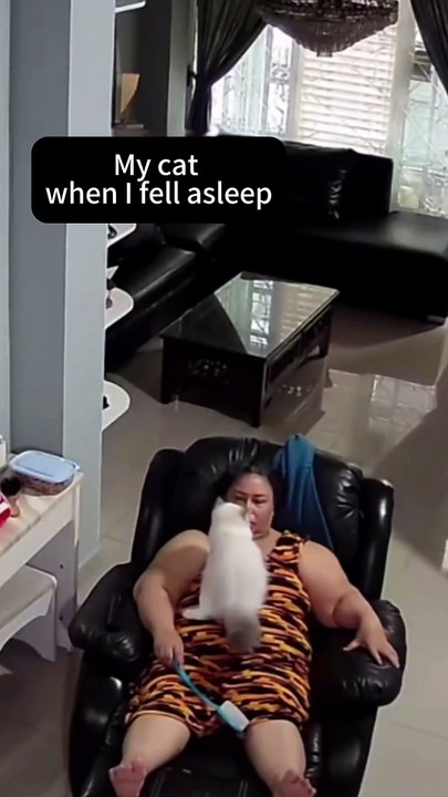 See what the cats do while I sleep