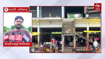 आवारा कुत्तों पर सुप्रीम कोर्ट के आदेश के बाद धमतरी में डॉग शेल्टर होम और बधियाकरण की जानिए स्थिति