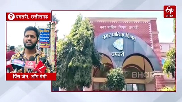 आवारा कुत्तों पर सुप्रीम कोर्ट के आदेश के बाद धमतरी में डॉग शेल्टर होम और बधियाकरण की जानिए स्थिति