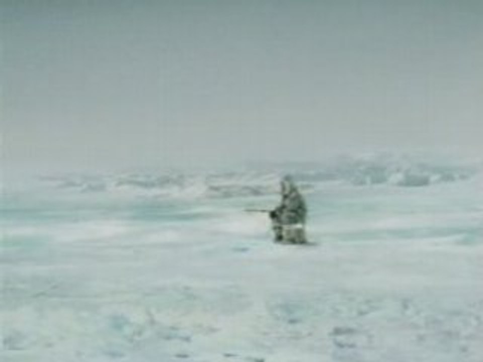 Les surprises de la pêche