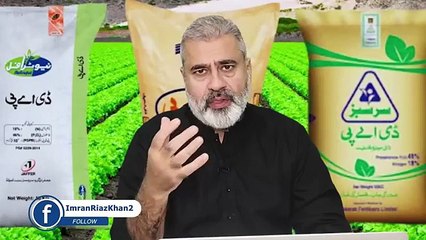 کپتان درست ثابت: بڑا اسکینڈل: مروت بمقابلہ تحریک انصاف || ٹک ٹاکرز ہانگ کانگ میں پاکستانیوں کے ہتھے