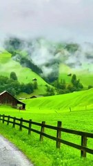 surat at tin surah at tin