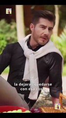 Accidentalmente Embarazada Del Alfa Completo Shorts S