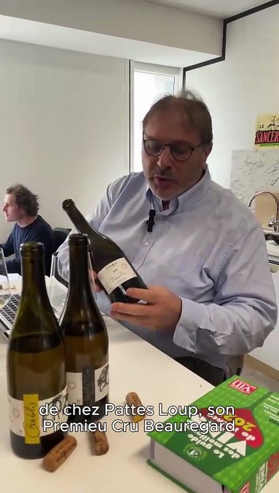 Exploration des vins de Bourgogne : Chablis Premier Cru