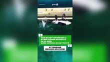 Sono un'orca e merito il mare!