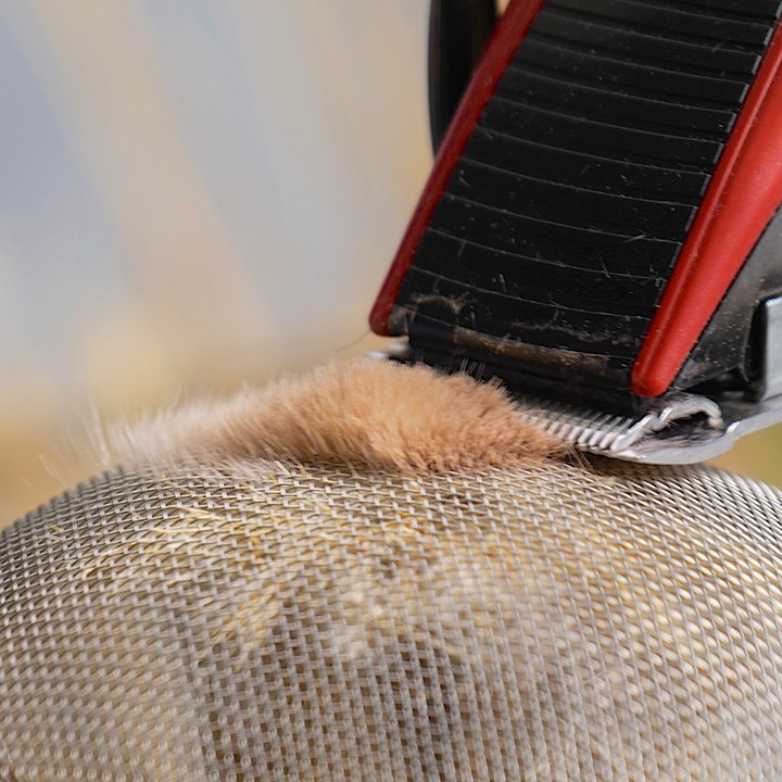 eco-friendly process of creating a coffee bag out of pampas grass!☕️ #plantbased #diy #craft #bag #grass #fyp