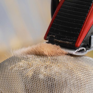 eco-friendly process of creating a coffee bag out of pampas grass!☕️ #plantbased #diy #craft #bag #grass #fyp