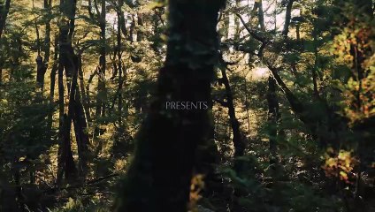 Talea by Beyond: Innovative Craft Beer 🍺