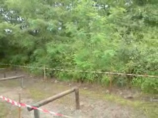 JSP33127 - Pompiers - 2 - Challenge sibue 2008 - Gironde