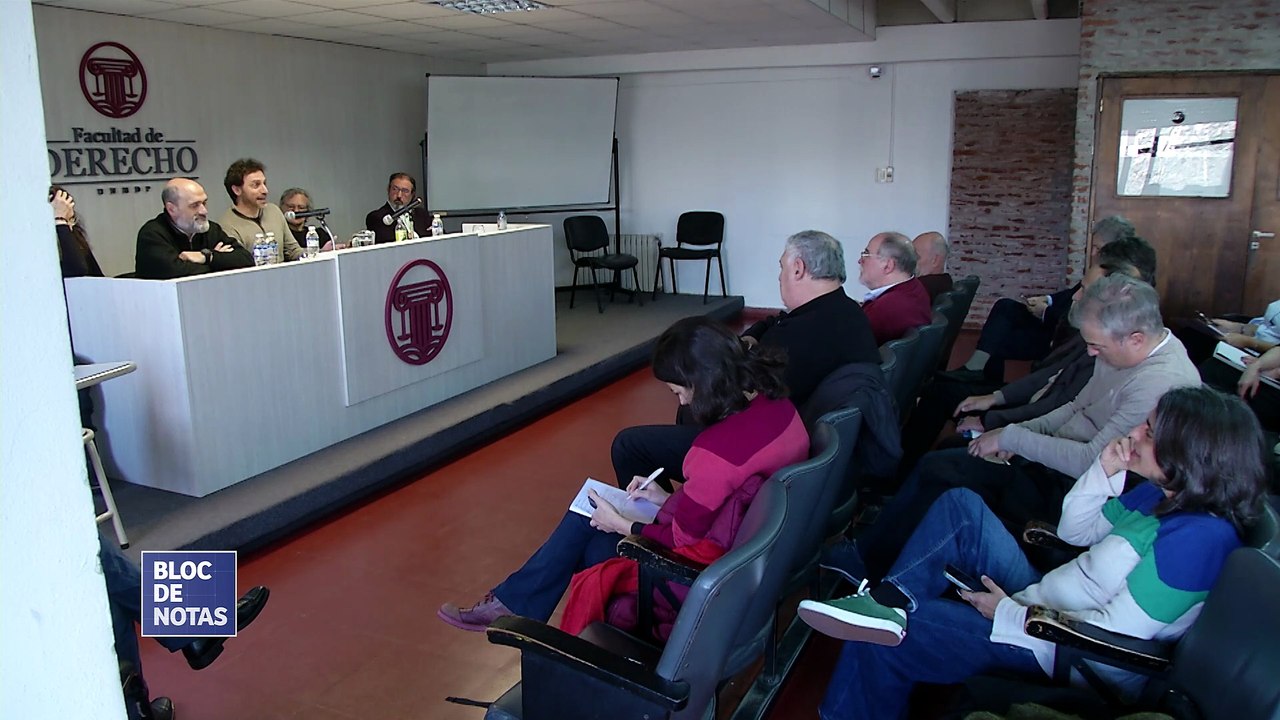 V Encuentro Anual de ICON-S Argentina