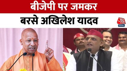 'माफिया बीजेपी में, 27,000 स्कूल बंद, किसानों की आय लूटी', सरकार पर गंभीर आरोप