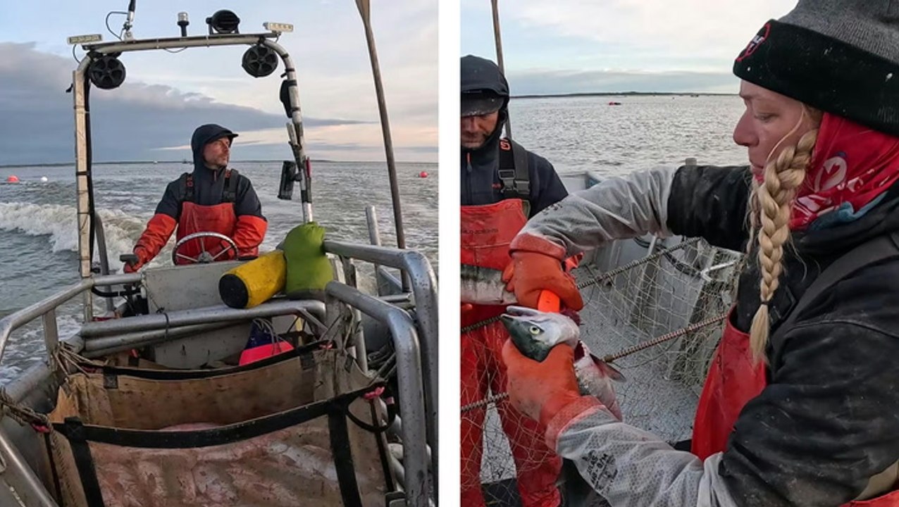 Finding Sustainable Salmon: Sea to Table
